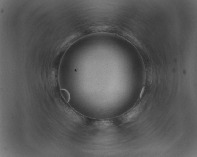 X0000071760378200606301136