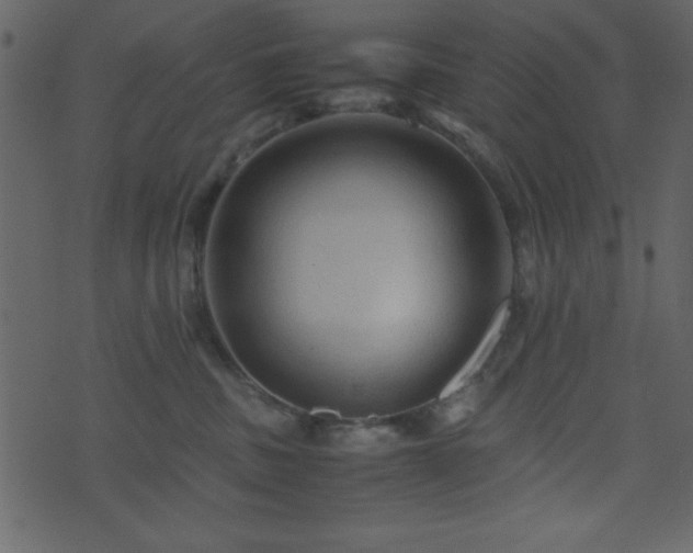 X0000071760379200606301136