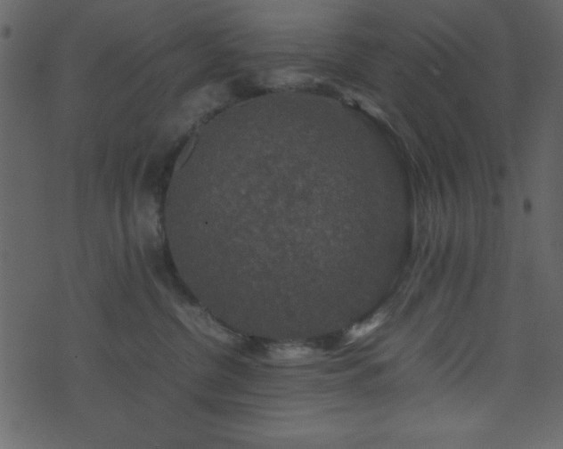 X0000071760380200606301136