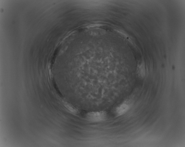 X0000071760381200606301136