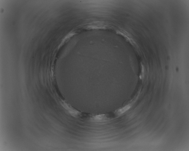 X0000071760382200606301136