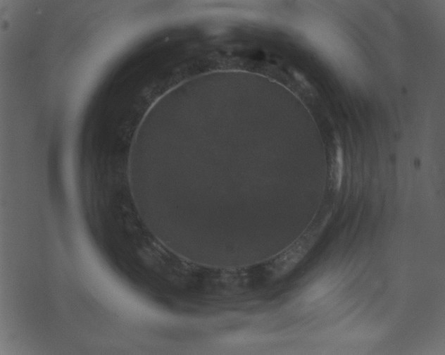 X0000071760383200606301136