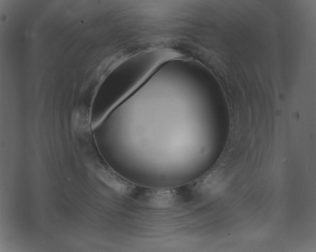 X0000071760384200606301136