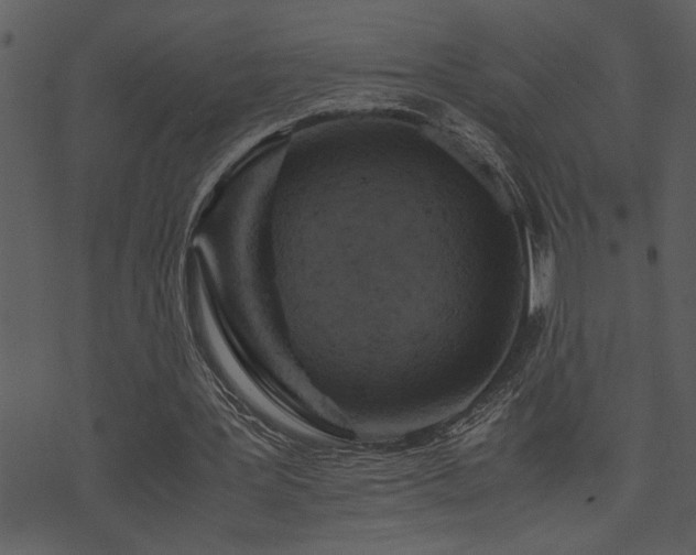 X0000071760387200606301136