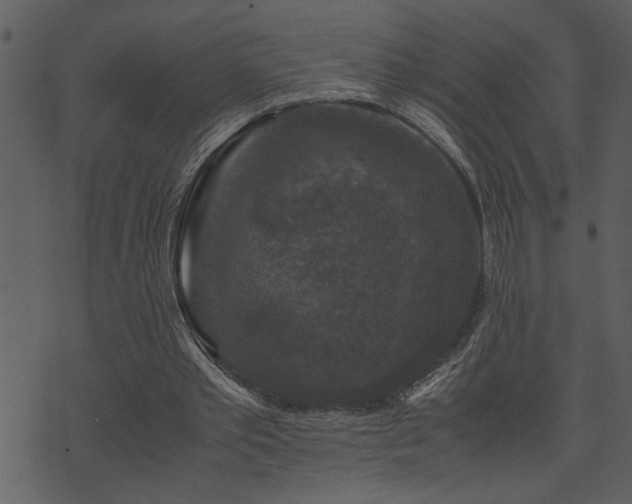 X0000071760389200606301135