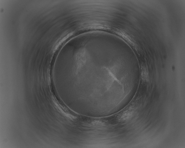 X0000071760390200606301135