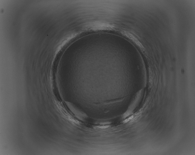 X0000071760391200606301135