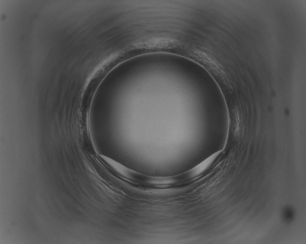 X0000071760392200606301135