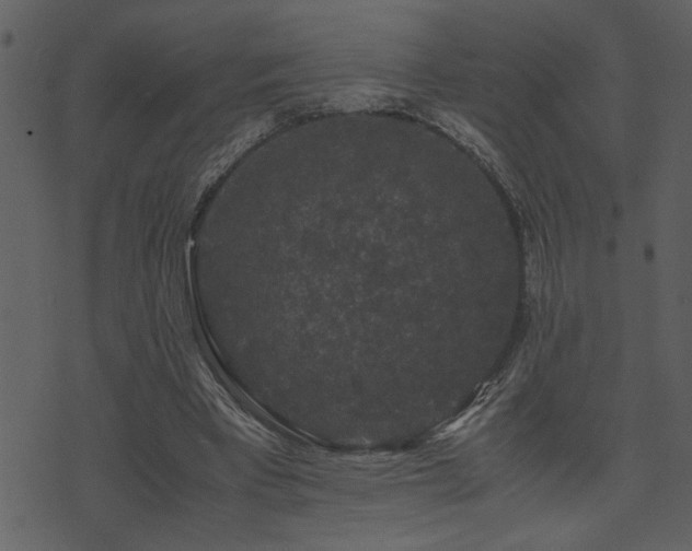 X0000071760393200606301135