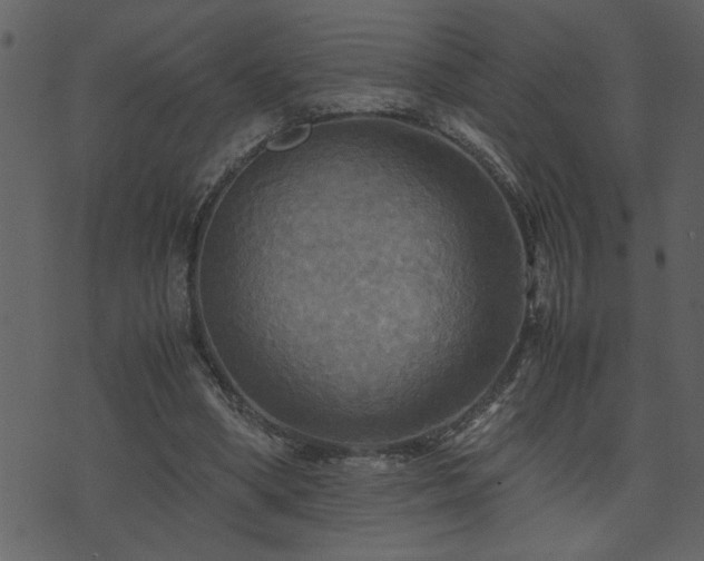 X0000071760394200606301135