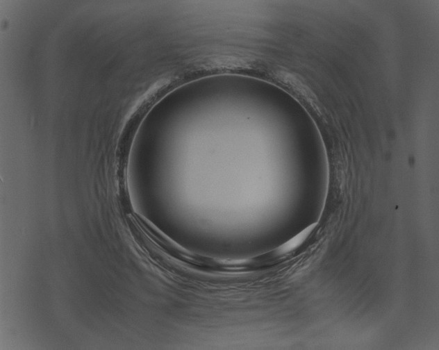 X0000071760395200606301135