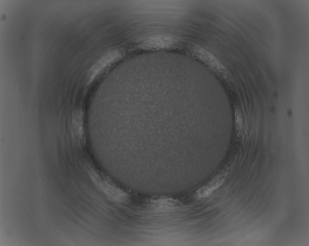 X0000071760396200606301135