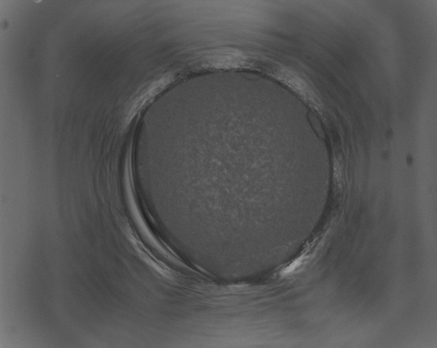 X0000071760397200606301135