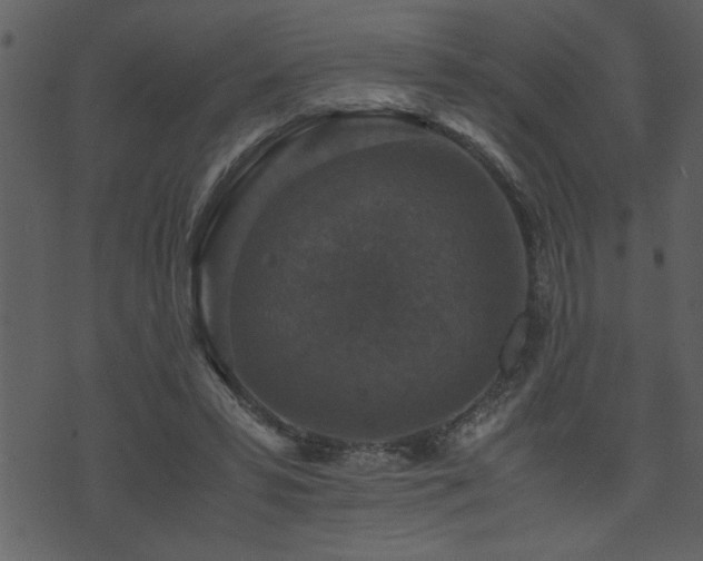 X0000071760399200606301135