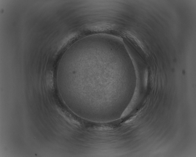 X0000071760400200606301135