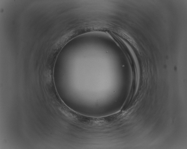 X0000071760401200606301135