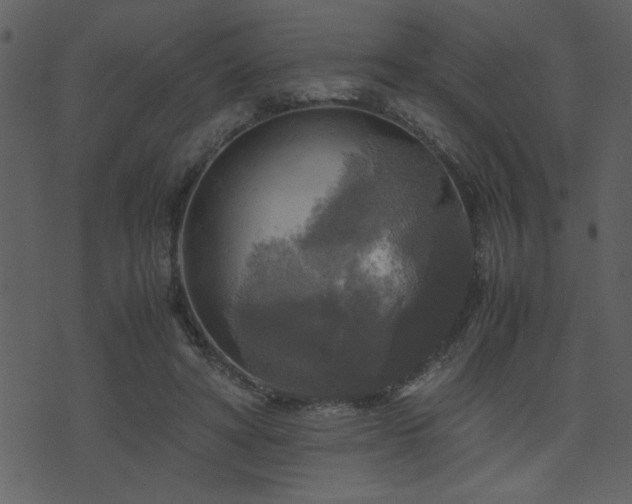 X0000071760402200606301135