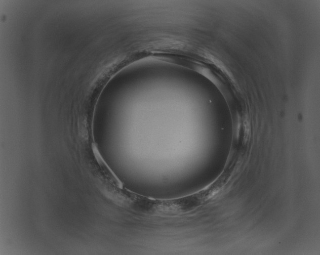 X0000071760403200606301135