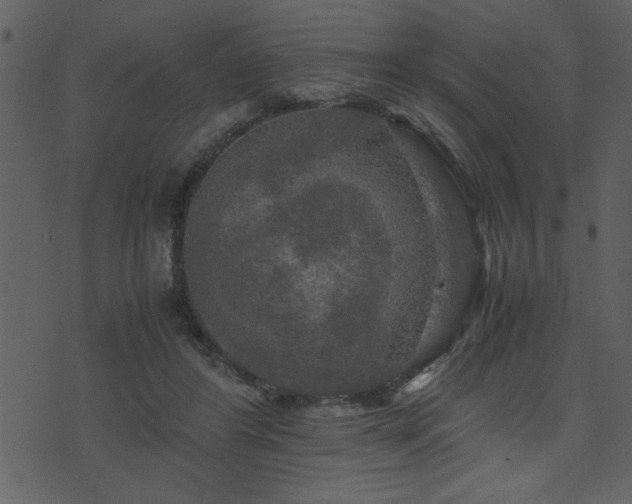 X0000071760404200606301135