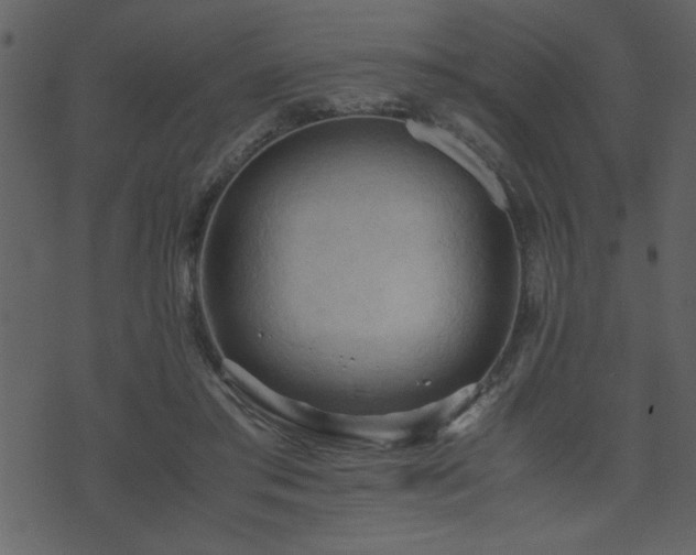 X0000071760405200606301135