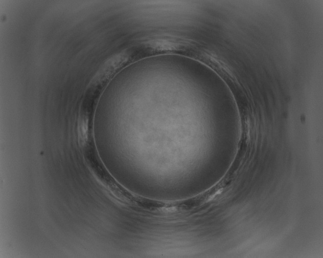 X0000071760406200606301135