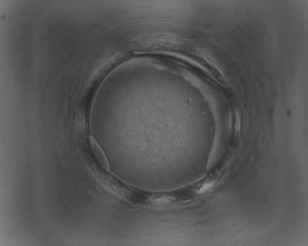 X0000071760407200606301135