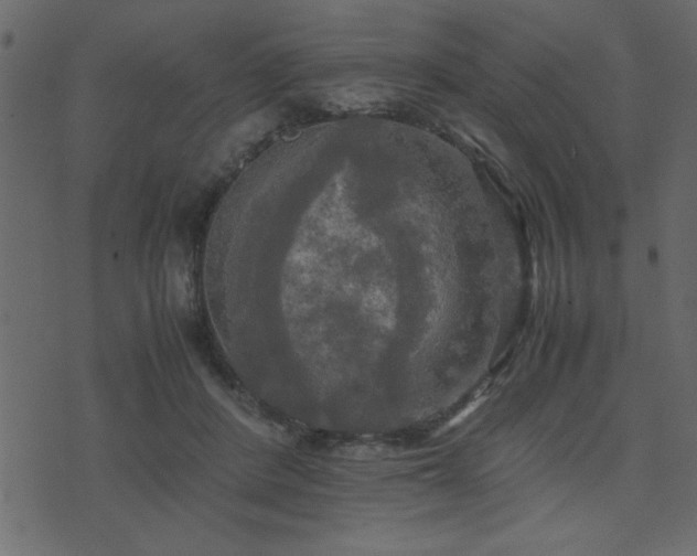 X0000071760408200606301135