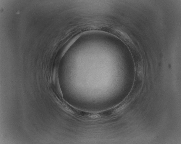 X0000071760409200606301135