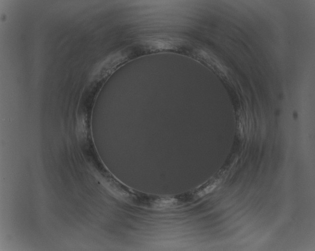 X0000071760410200606301135