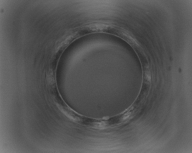 X0000071760411200606301135