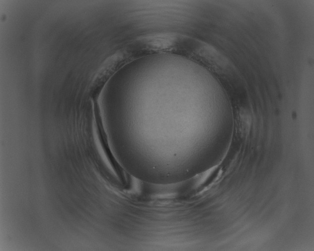 X0000071760412200606301135