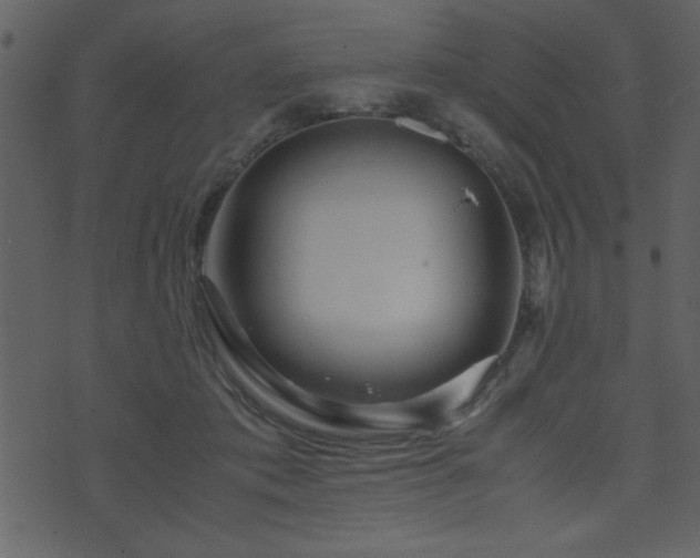 X0000071760413200606301135