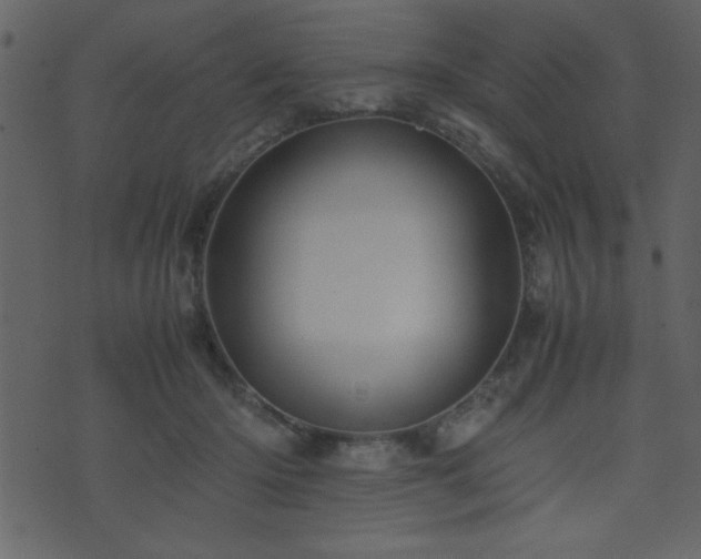 X0000071760414200606301135