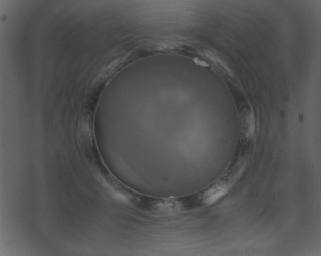 X0000071760415200606301135