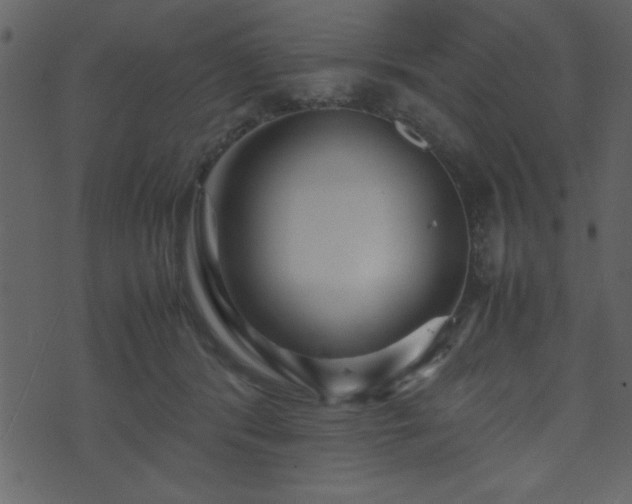 X0000071760416200606301135