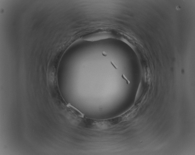 X0000071760417200606301135