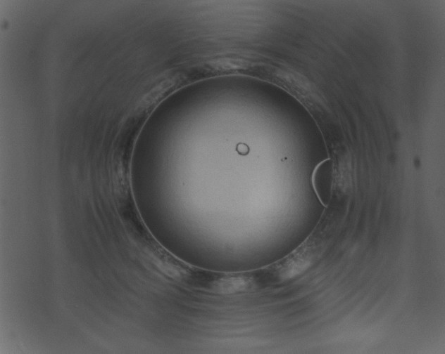 X0000071760418200606301135