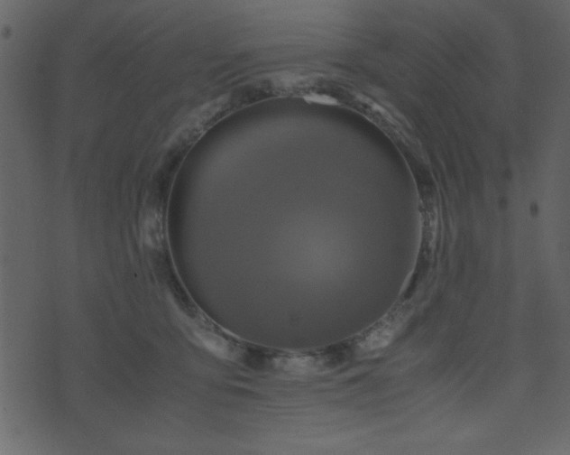 X0000071760419200606301135