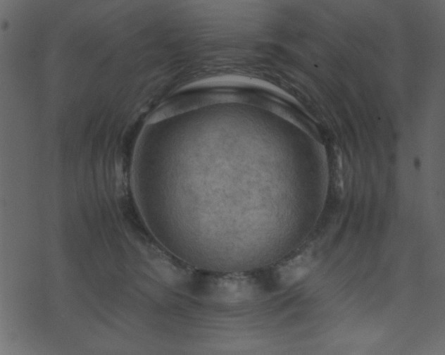 X0000071760420200606301135