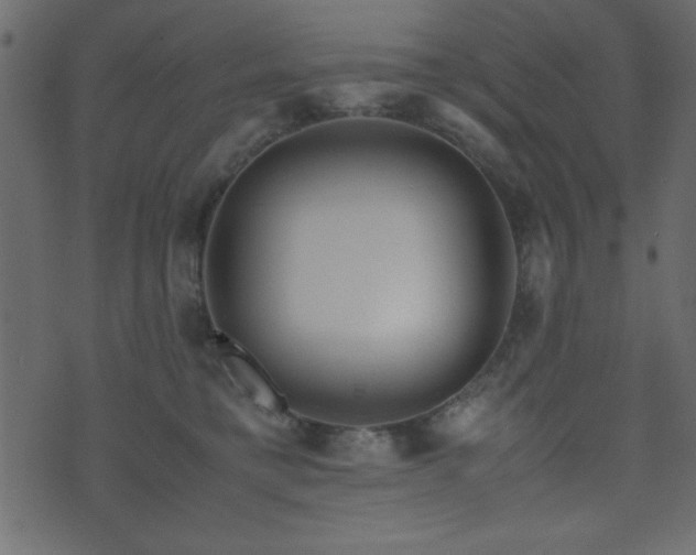 X0000071760421200606301135