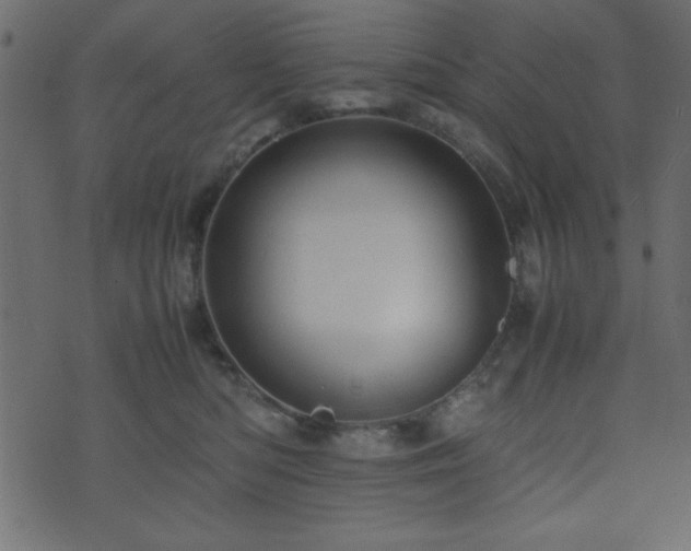 X0000071760422200606301135