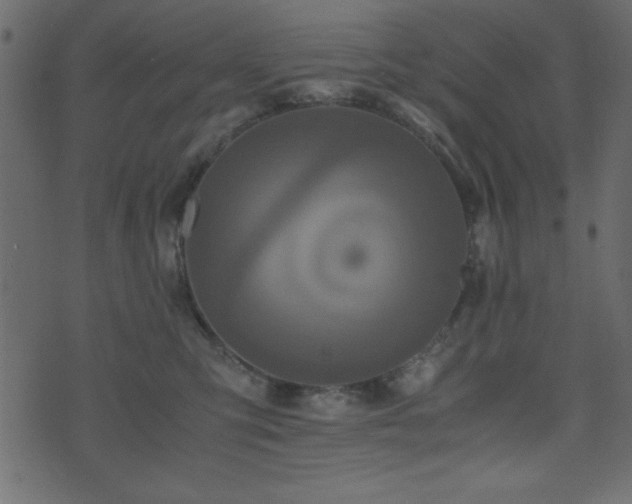 X0000071760423200606301135