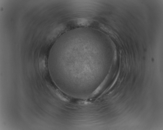 X0000071760424200606301135