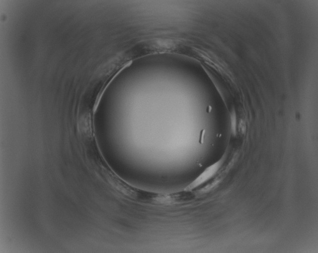 X0000071760425200606301135