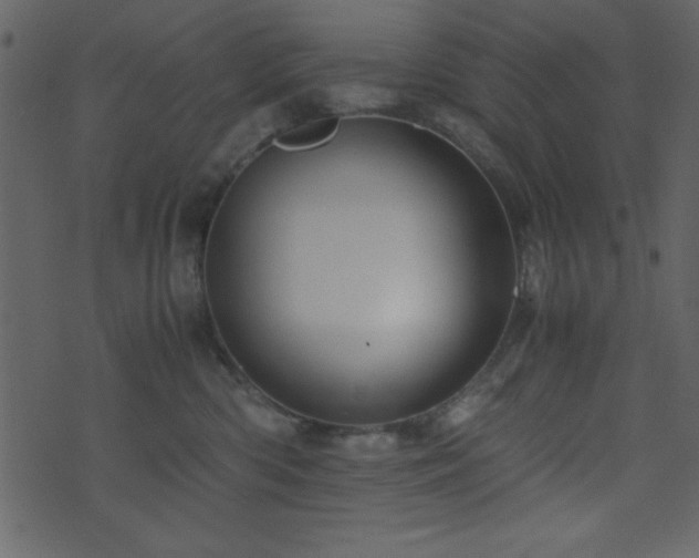 X0000071760426200606301135