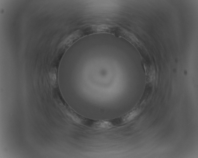 X0000071760427200606301135