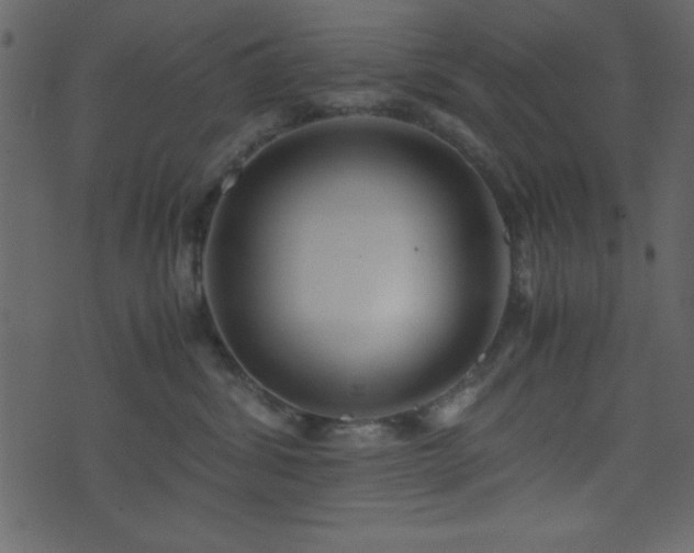 X0000071760428200606301135