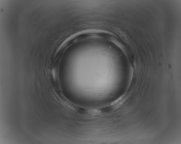 X0000071760429200606301135