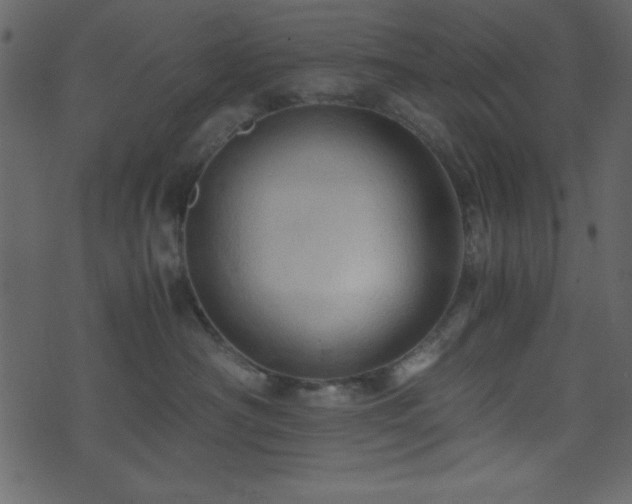 X0000071760430200606301135