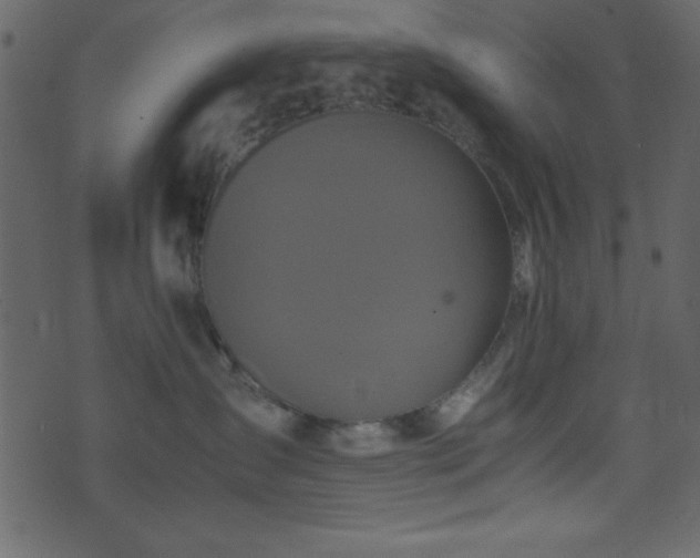 X0000071760431200606301135